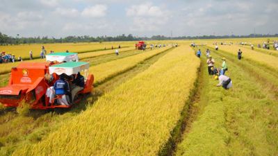 Miễn thuế đất nông nghiệp tới 2030: Động lực phát triển nông nghiệp bền vững