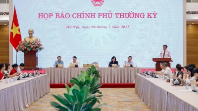 bongdaso com tv tiếp tục giữ đà tăng trưởng với sự gia tăng doanh nghiệp mới