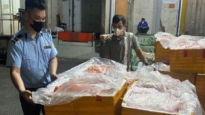 Hà Nội: Khám kho lạnh chứa hơn 7 tấn nội tạng động vật không rõ nguồn gốc