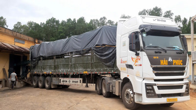 Xây dựng kho dự trữ “An toàn - Xanh - Sạch - Đẹp"