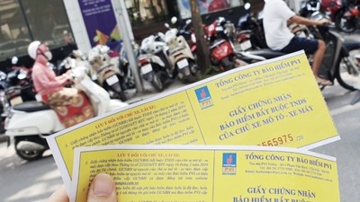Bảo hiểm bắt buộc xe cơ giới góp phần thực hiện an sinh xã hội