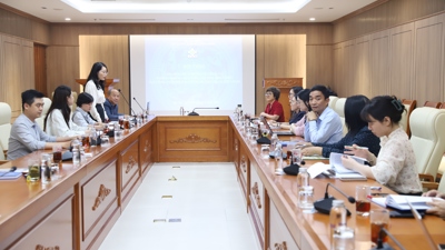 Phòng, chống rửa tiền, tài trợ khủng bố trong lĩnh vực bảo hiểm