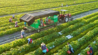 Phát triển nông nghiệp xanh: Liên kết "5 nhà" phải trở thành chiến lược dài hạn