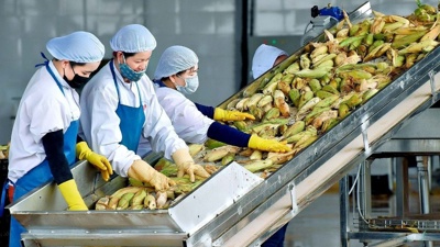 Thủ tướng chỉ đạo các biện pháp tăng cường xuất khẩu hàng nông lâm thủy sản
