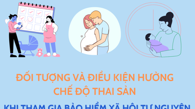 Đối tượng và điều kiện hưởng chế độ thai sản khi tham gia bảo hiểm xã hội tự nguyện