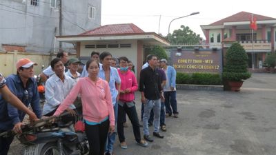 TP.Hồ Chí Minh: “Bắt mạch” những hạn chế của doanh nghiệp nhà nước 