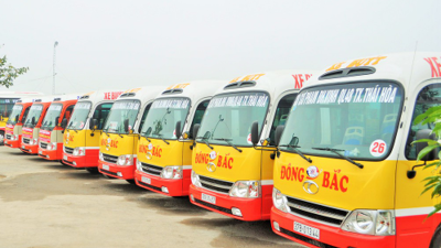 Nghệ An thúc đẩy chuyển đổi xe buýt, xe khách nội tỉnh sử dụng điện, năng lượng xanh