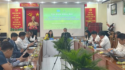 Tham khảo bài học chuyển đổi xanh từ Nha Trang cho TP. Hồ Chí Minh