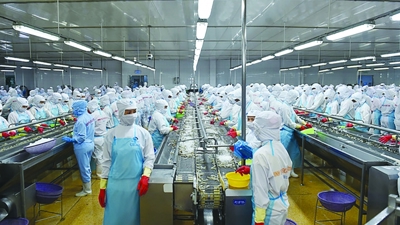 EU sẽ kiểm soát ASEN vô cơ trong nhiều loại thủy sản nhập khẩu 