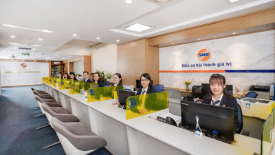 Lựa chọn chiến lược cho một nền kinh tế mở