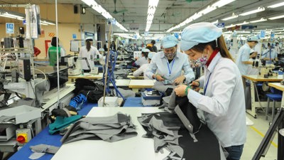Doanh nghiệp đang phải chịu nhiều sức ép