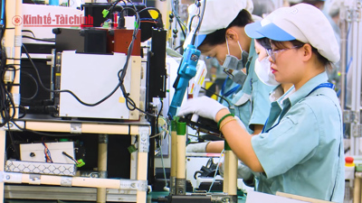 VIDEO: Đề xuất giảm 2% thuế giá trị gia tăng đến hết năm 2026: Thêm nhiều đối tượng được hưởng lợi