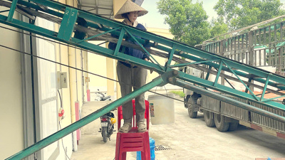 Chi cục Dự trữ Nhà nước khu vực III đã nhập kho hơn 6.319 tấn gạo 