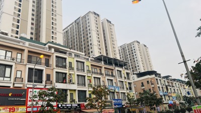 Áp giá trần với nhà ở xã hội, nên hay không?