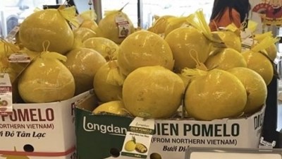 Khai thác tiềm năng từ thị trường Anh với thế mạnh xuất khẩu