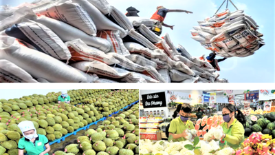 Giải pháp cho xuất khẩu nông sản phát triển bền vững