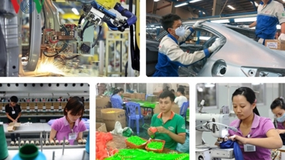 Miễn thuế thu nhập doanh nghiệp cho doanh nghiệp nhỏ và vừa trong 3 năm