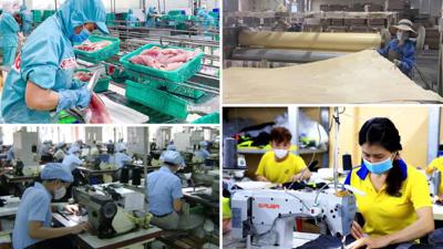 Tỉnh Thái Nguyên: Kêu gọi đầu tư cho 176 dự án 