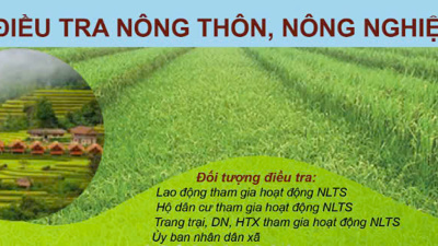 Ngành Thống kê quyết tâm cao thực hiện thành công Tổng điều tra nông thôn, nông nghiệp năm 2025