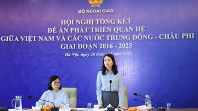 Đưa quan hệ giữa Việt Nam với các nước Trung Đông - châu Phi phát triển thực chất, hiệu quả hơn