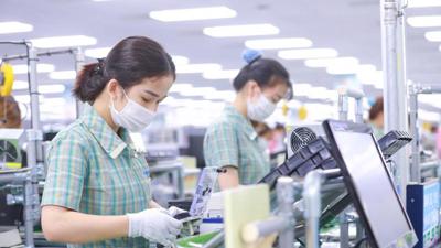 Đổi mới sáng tạo: Chìa khoá cho doanh nghiệp Việt vươn mình