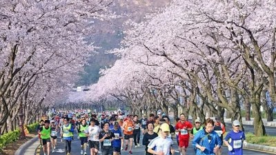 Hàn Quốc nỗ lực hút khách Việt, tăng thu từ du lịch