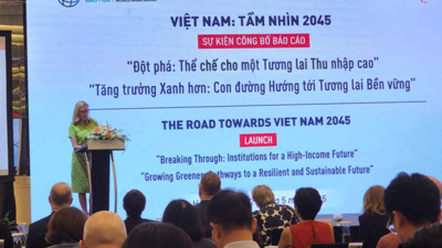 Cải cách thể chế và thúc đẩy mô hình phát  triển xanh hơn là “chìa khoá” để Việt Nam đạt được vị thế thu nhập cao