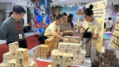 Doanh nghiệp Huế mở rộng thị phần qua nhà phân phối TP. Hồ Chí Minh