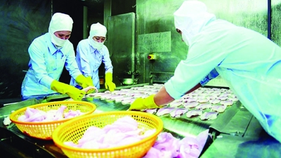 Mở rộng thị trường xuất khẩu nông, lâm, thủy sản sang CHLB Đức 