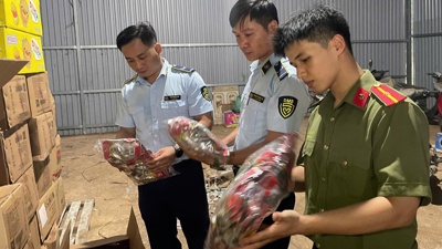 Chặn đứng 2 cơ sở kinh doanh thực phẩm, đồ gia dụng nhập lậu