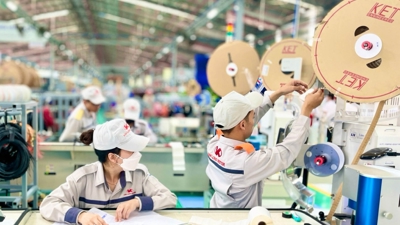 Thành phố Huế triển khai nhiều chính sách cho kinh tế tư nhân phát triển