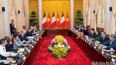 Chùm ảnh: Chủ tịch nước Lương Cường hội đàm với Tổng thống Pháp Emmanuel Macron