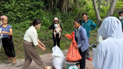 Đã xuất cấp 1.234,395 tấn gạo dịp giáp hạt cho Điện Biên, Lai Châu