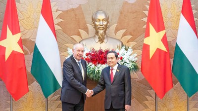 Việt Nam - Hungary tăng cường hợp tác xây dựng khung pháp lý hỗ trợ chuyển đổi số, bảo vệ môi trường