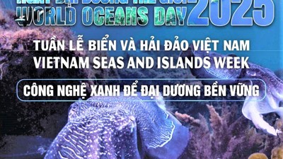 Xây dựng một Việt Nam xanh - một đại dương bền vững