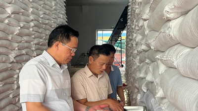 Khẩn trương chuẩn bị nhập, bảo quản bổ sung lương thực dự trữ quốc gia