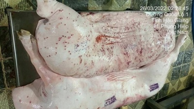 C.P. Việt Nam phản hồi về thông tin thịt heo bệnh lan truyền trên mạng