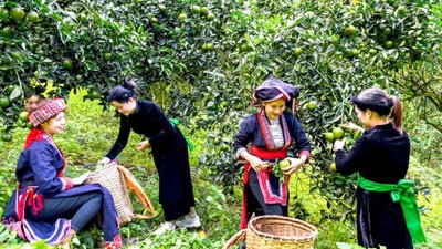 Thực hiệu hiệu quả mục tiêu giảm nghèo đa chiều, bền vững