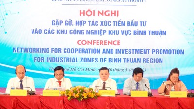 Tạo mọi điều kiện thuận lợi nhất để nhà đầu tư phát triển bền vững tại Bình Thuận