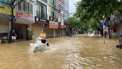 Hà Nội: Chủ động ứng phó với thiên tai trong mùa mưa bão