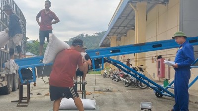 Chùm ảnh: Chi cục Dự trữ Nhà nước khu vực VI nhập lương thực dự trữ quốc gia năm 2025