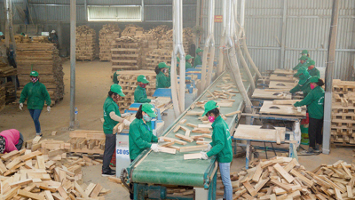 Quảng Trị: Phát huy nguồn lực để phát triển kinh tế tư nhân
