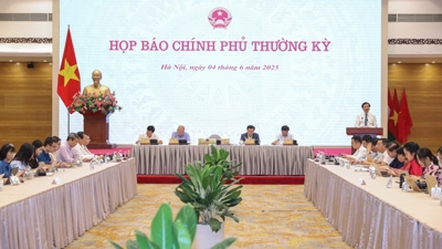 Họp báo Chính phủ tháng 5/2025: Tình hình phát triển kinh tế xã hội nổi bật với 8 điểm sáng