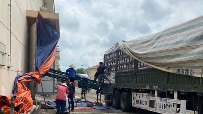 Chùm ảnh: Hoạt động nhập lương thực ở Chi cục Dự trữ Nhà nước khu vực III