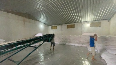 Chi cục Dự trữ Nhà nước khu vực III hoàn thành 13 gói thầu mua gạo