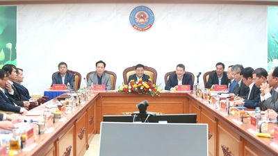 Triển khai đồng bộ các nội dung cốt lõi chuẩn bị Đại hội nhiệm kỳ 2025-2030