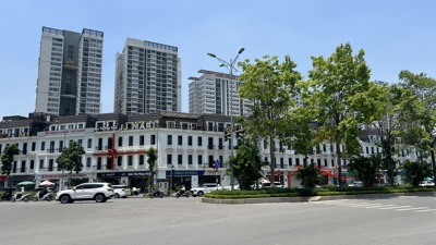 Phân khúc nhà phố thương mại đối mặt nhiều thách thức