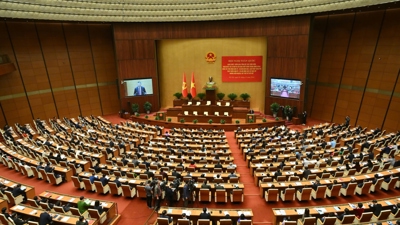 Tinh gọn bộ máy: Giảm "áp lực" cho ngân sách