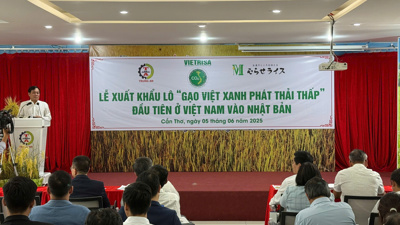 Việt Nam xuất khẩu lô gạo phát thải thấp đầu tiên sang Nhật Bản