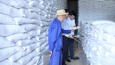 Chi cục Dự trữ Nhà nước khu vực II đảm bảo chất lượng và tiến độ gạo nhập kho dự trữ